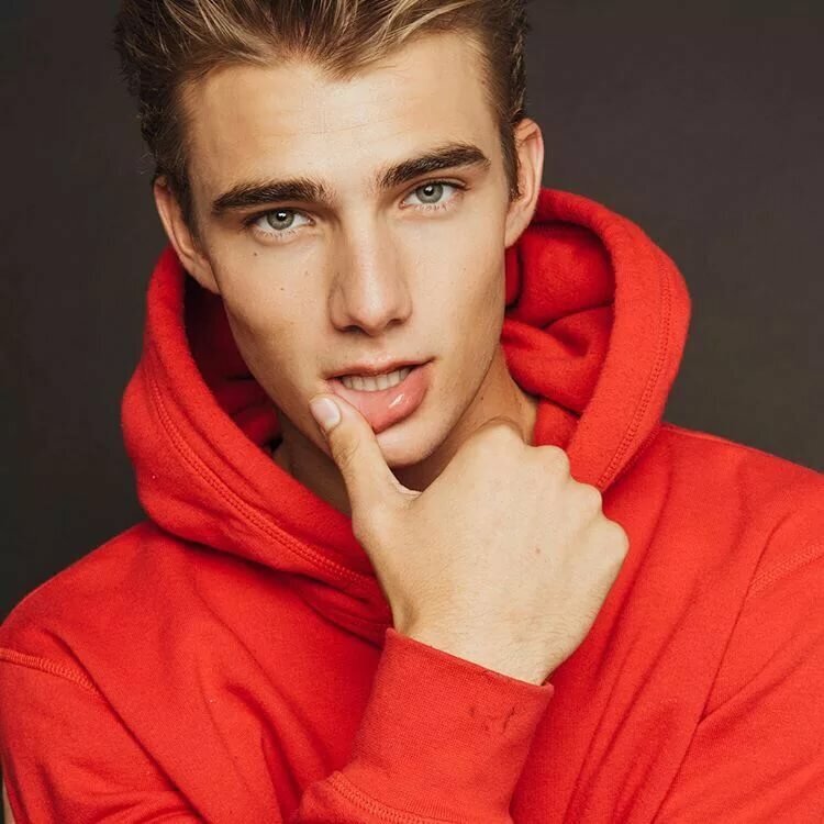 Яндекс.картинки