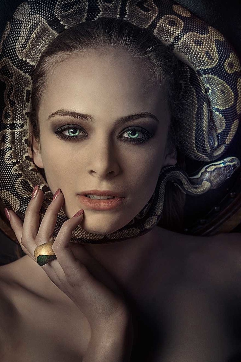 Картинки из яндекс 