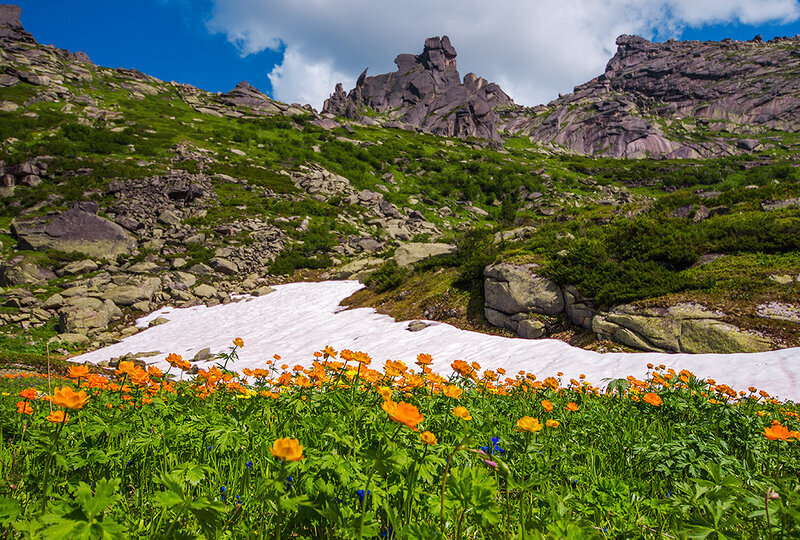 фото: https://img-fotki.yandex.ru 