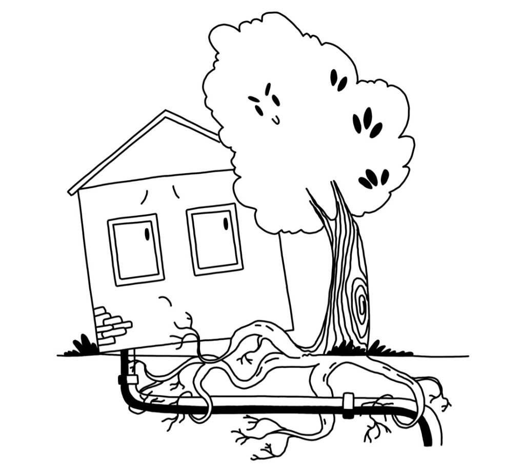 Иллюстрация из книги "Русская модель управления и эксплуатации недвижимости"