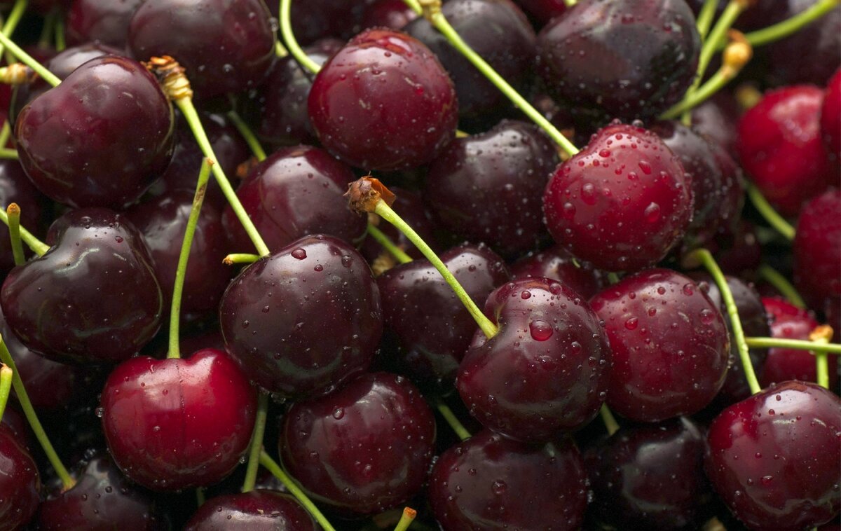 не сфотографировала сразу, поэтому фото с Яндекс.Картинок