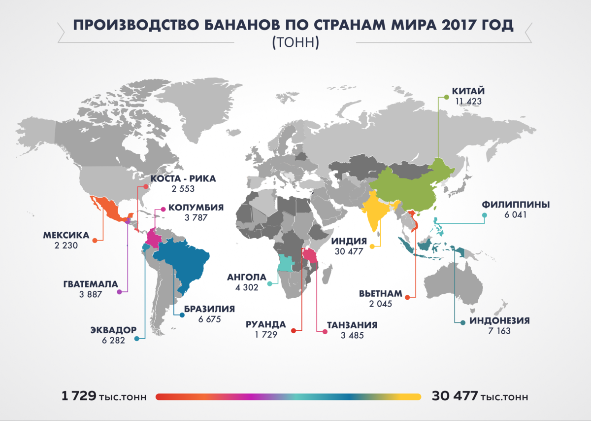 Объем экспорта эквадора. Страны Лидеры по производству бананов. Где растут бананы в каких странах на карте. Бананы страны Лидеры. Страны Лидеры по экспорту бананов.