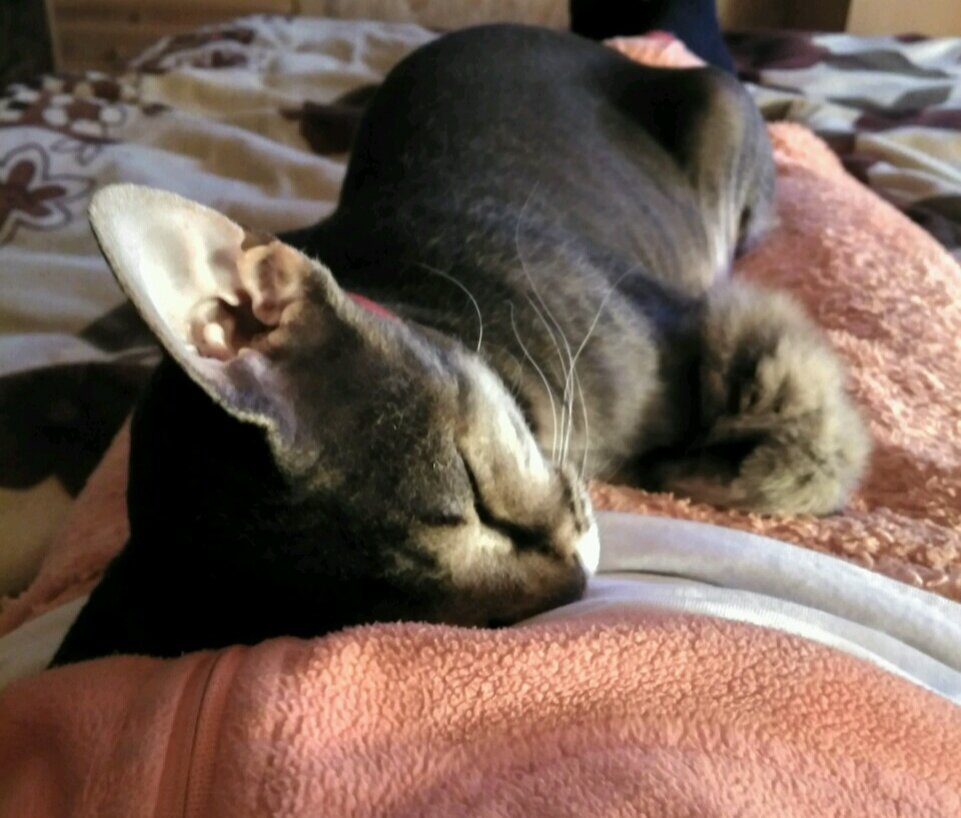 Дженнифер спит