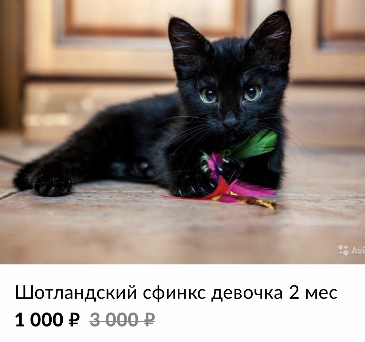 Как вам такое? 