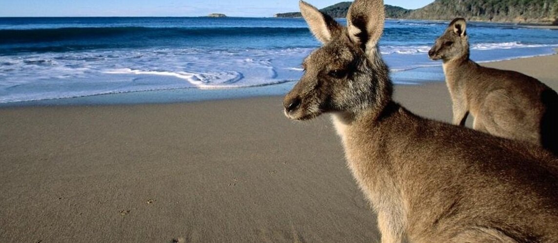 На берегу Тихого океана