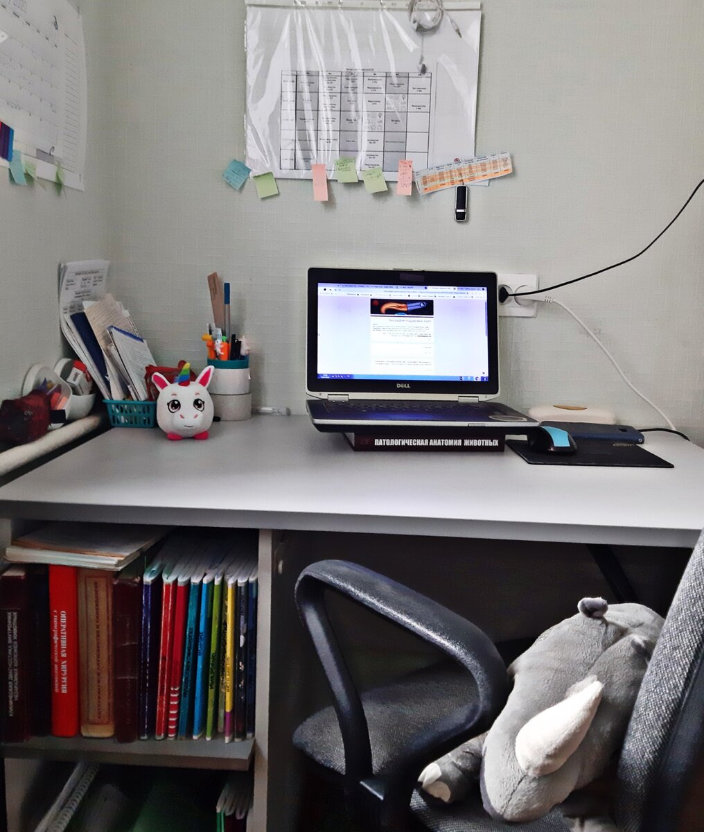 Так выглядит моё рабочее место