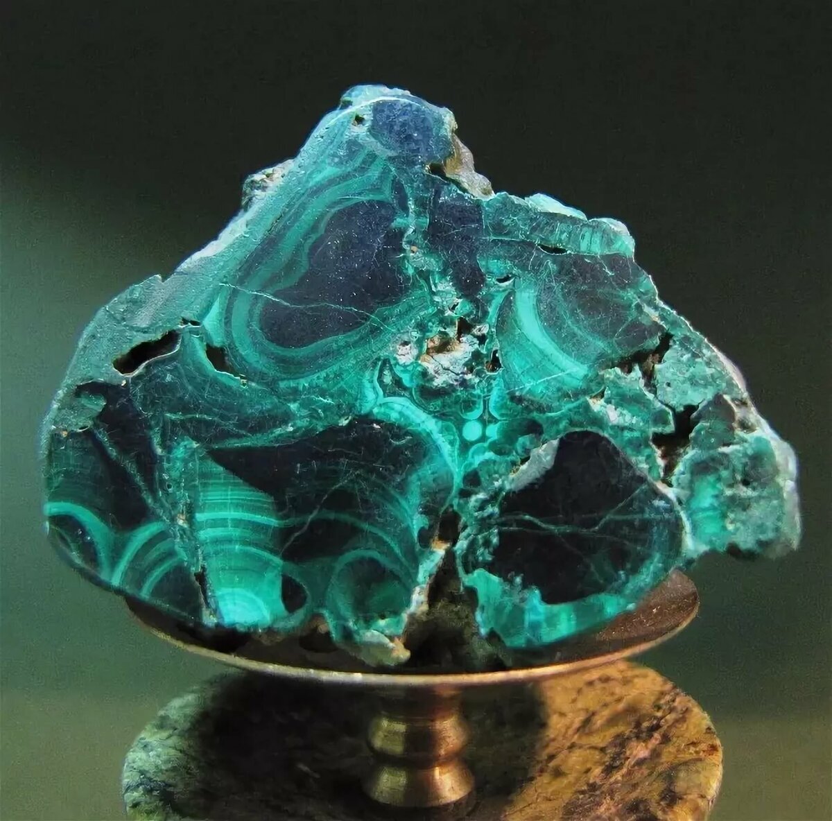 Изображение взято с сайта Яндекс Картинки