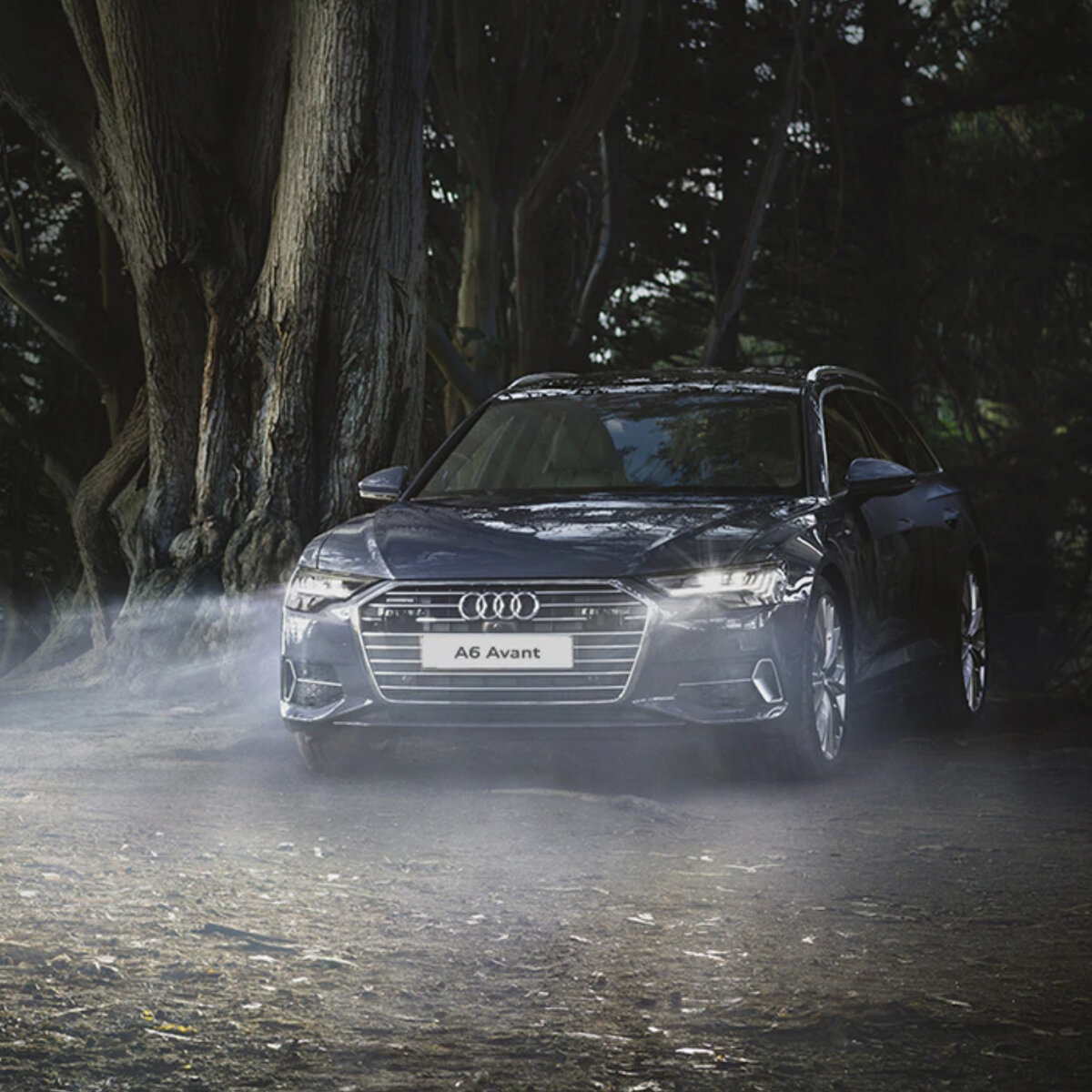 Фото с сайта www.audi.ru 