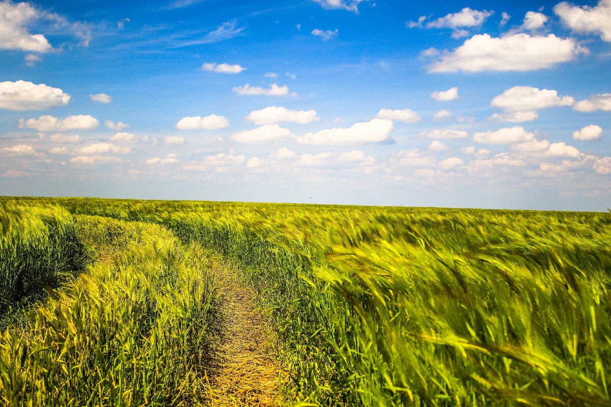 Источник Яндекс Картинки