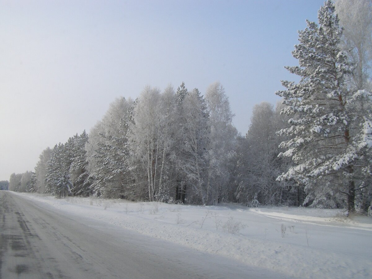 Зима. Фото автора.
