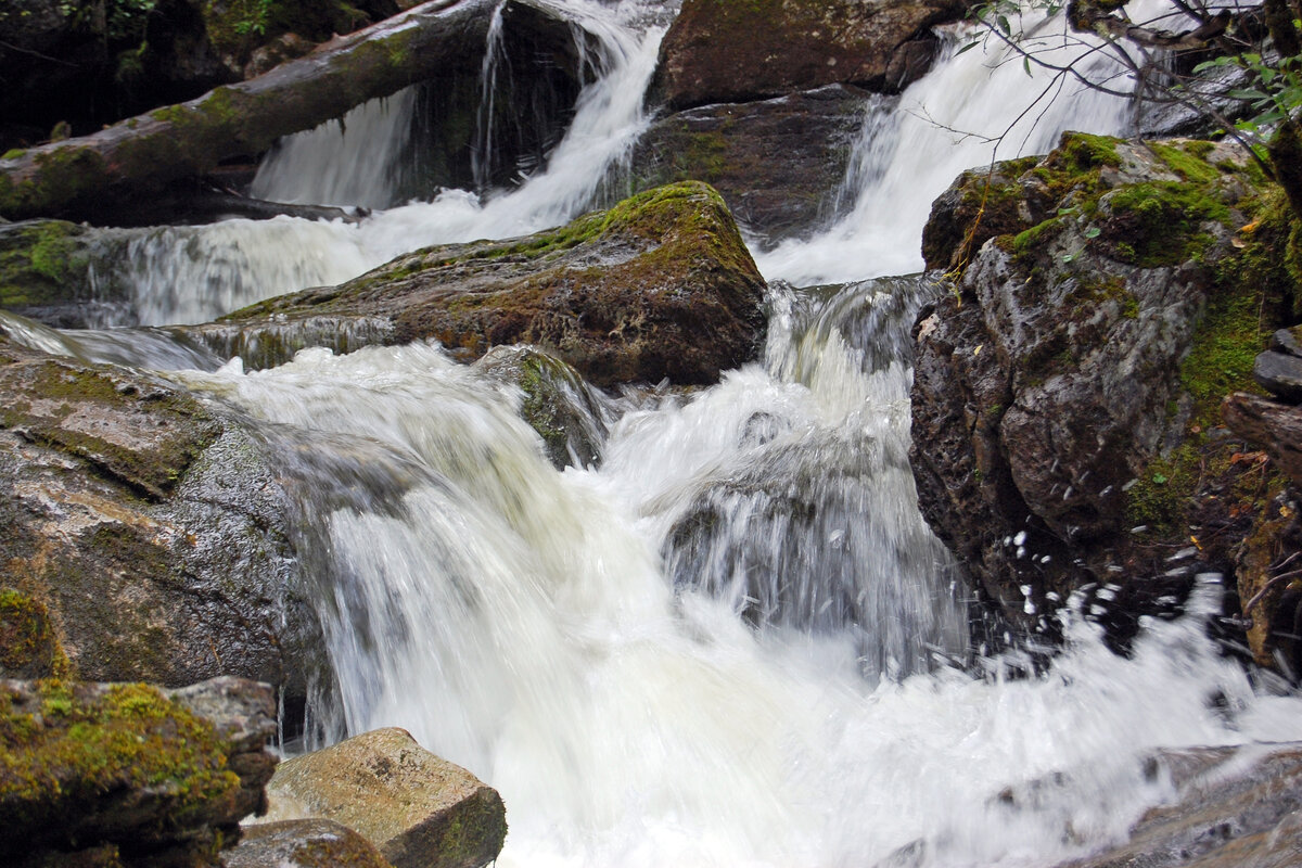 Шинокские водопады алтайский край фото