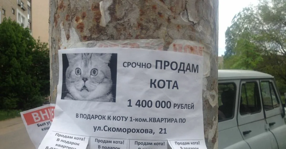 Новые объявления о продаже