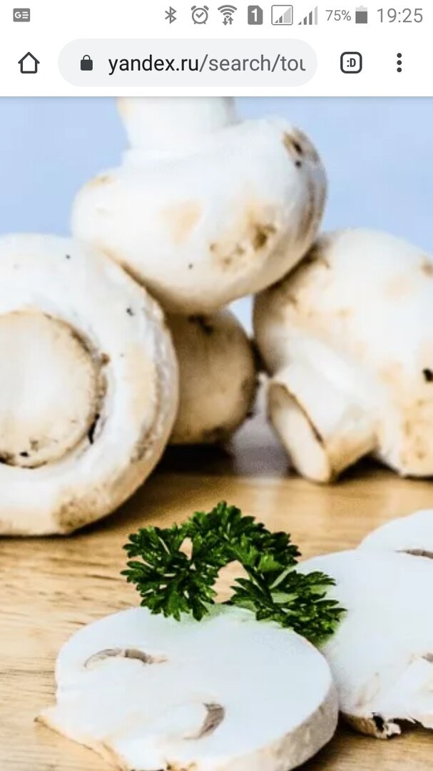 фото из свободных источников