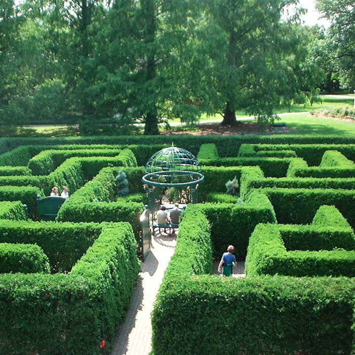 Зеленый лабиринт 