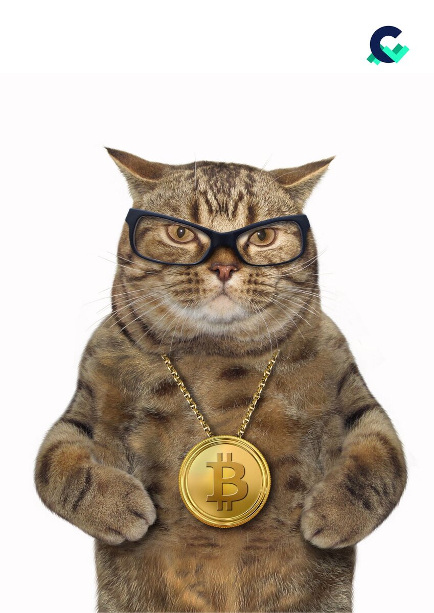 Придумайте название для картинки и напишите в комментариях :)