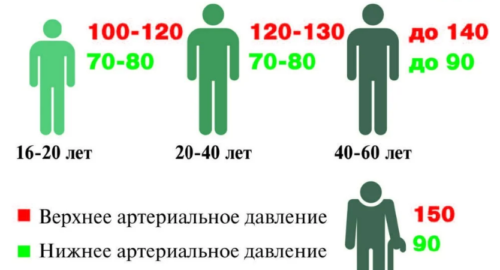 Пульс и давление. Что об этих показателях нужно знать в разном возрасте?. Статьи. вторсырье-м.рф