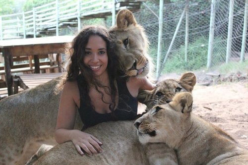 Изображение взято из свободных источников 