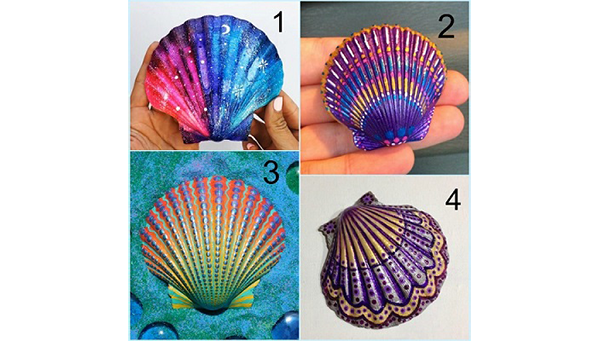                                                                Очень красивые ракушки