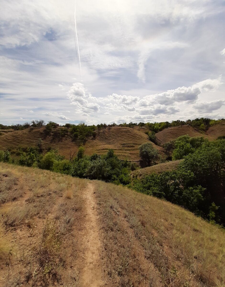 Личный архив. Обрыв. Поволжье