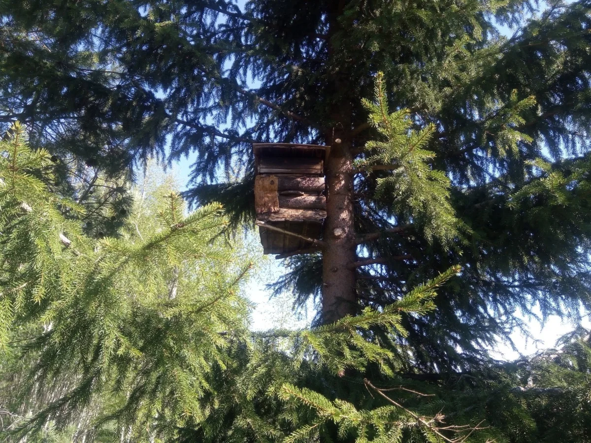 Стандартная ловушка для пчёл