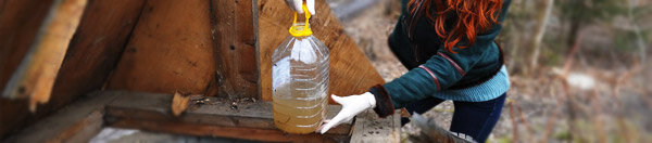 Железо в воде является самым распространенным её загрязнителем.
