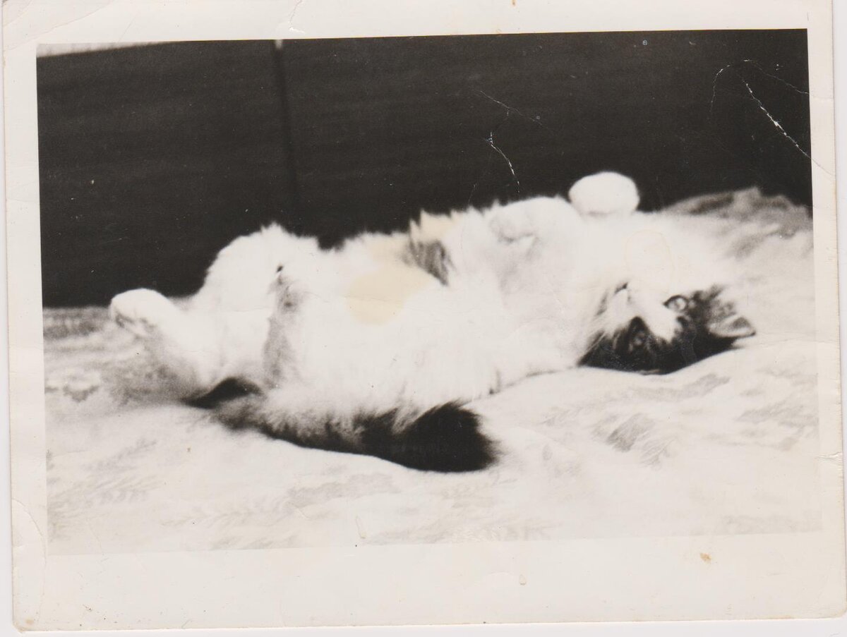 Нашему нежному облачку здесь уже 6 лет.