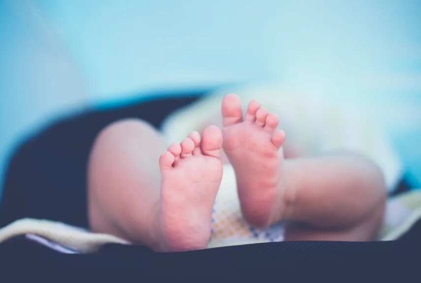 Фото: pixabay.com