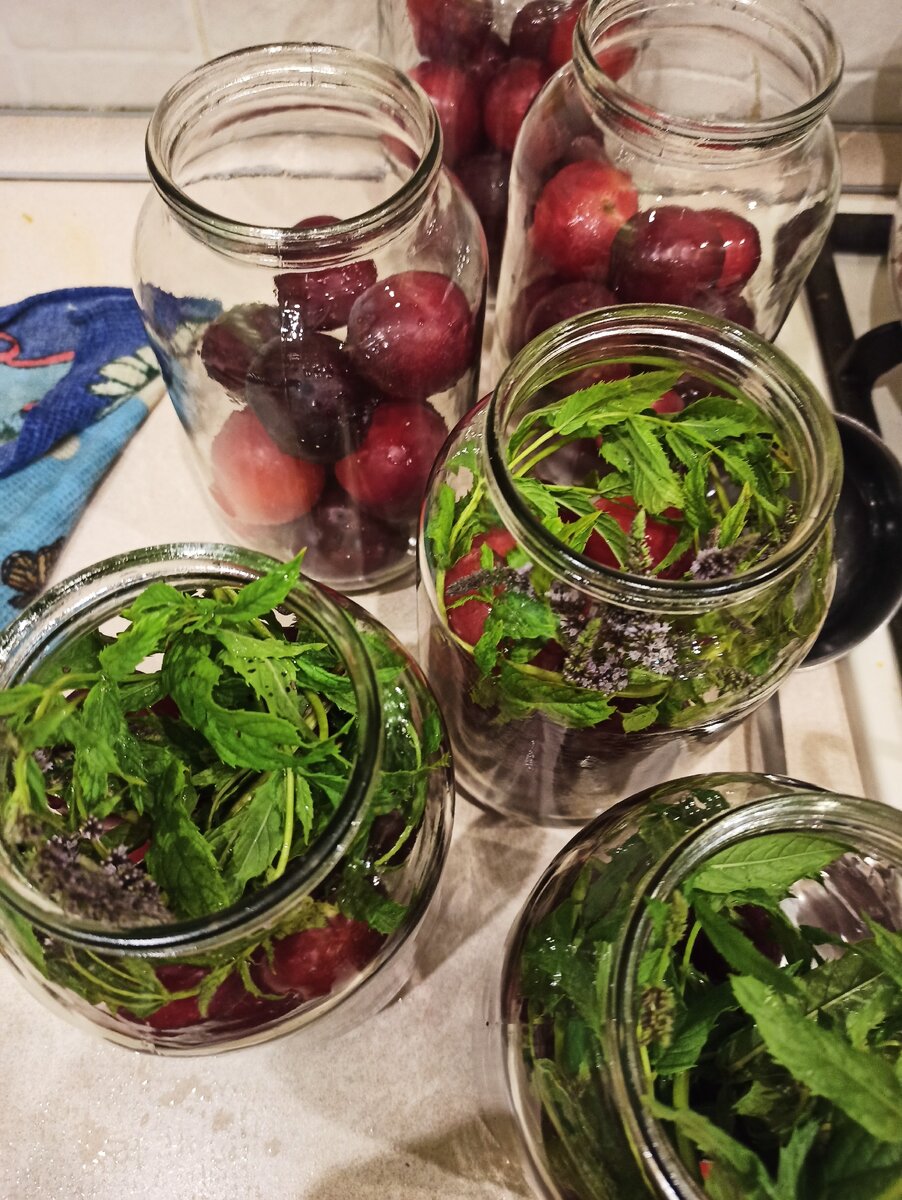 Заготовки из базилика. Базилик соленый. Заготовки из базилика. Соус из базилика на зиму. Томатный соус с базиликом.