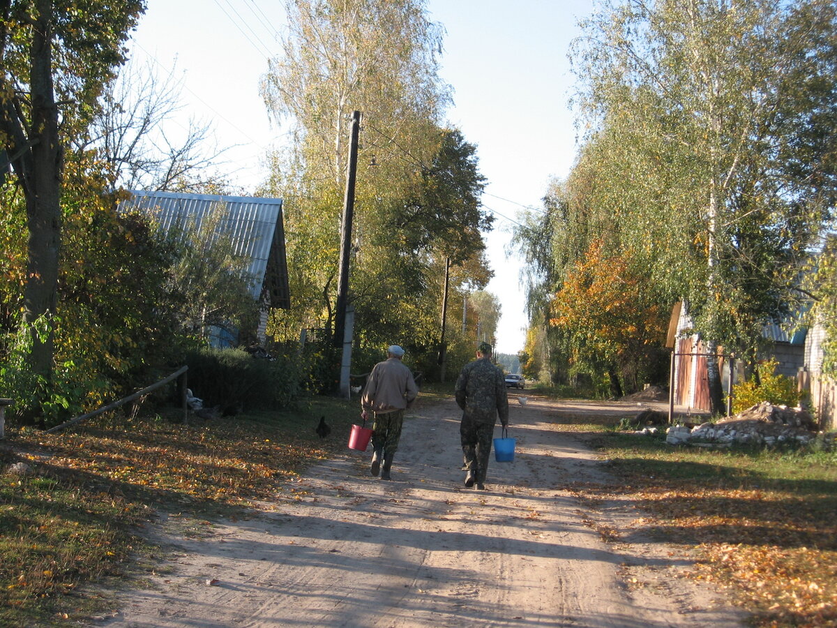 Грибники возвращаются