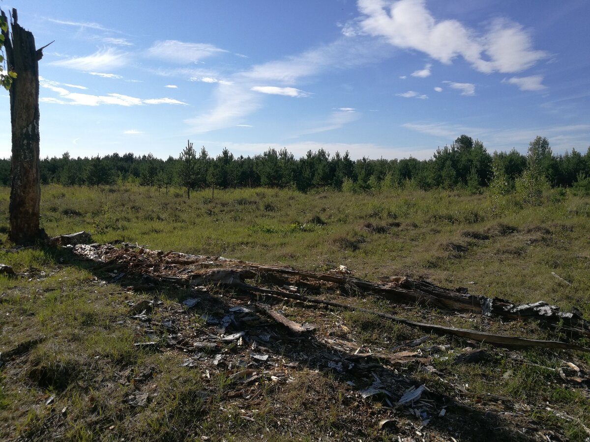 В щепки