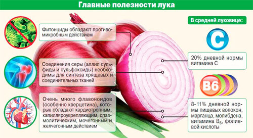 https://calorizator.ru/product/vegetable/bulb-onion