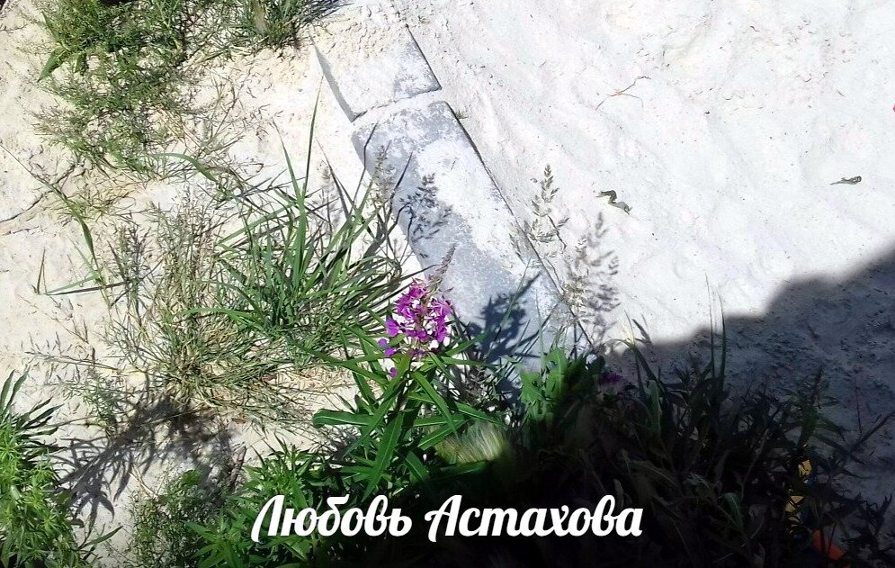 Никто кроме нас самих не знает, что для нас красиво и хорошо. До поры до времени мы и сами сомневаемся, чего же хотим на самом деле. Поэтому нам нужно просто принять свою жизнь.