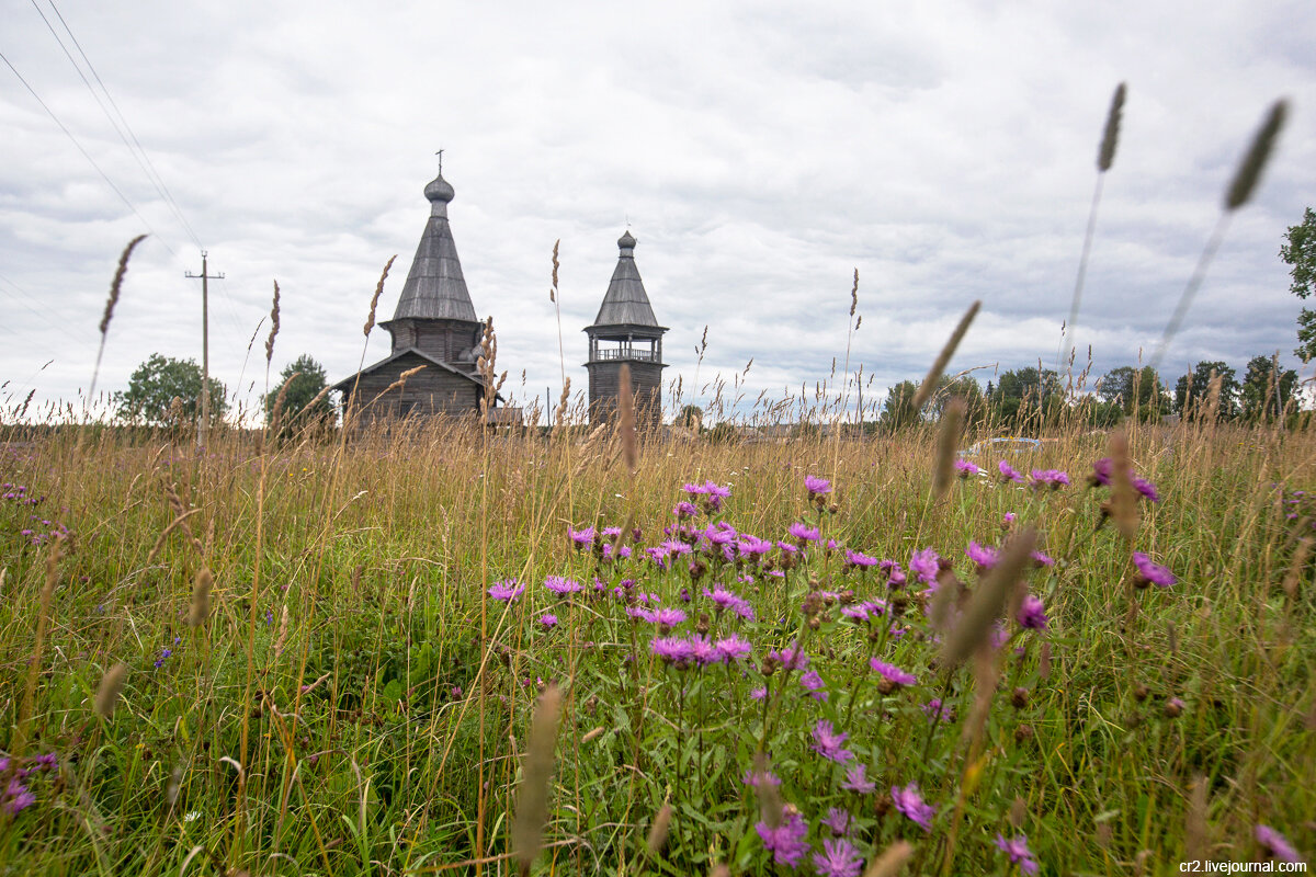 Церковь Иоанна Златоуста в Саунино. Каргопольский район, Архангельская область 