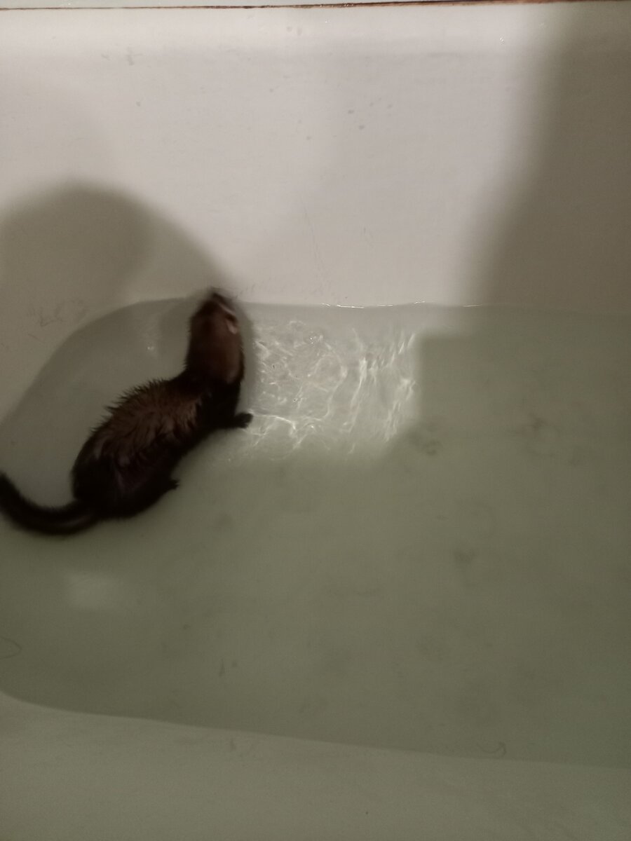 Милаша в ванной