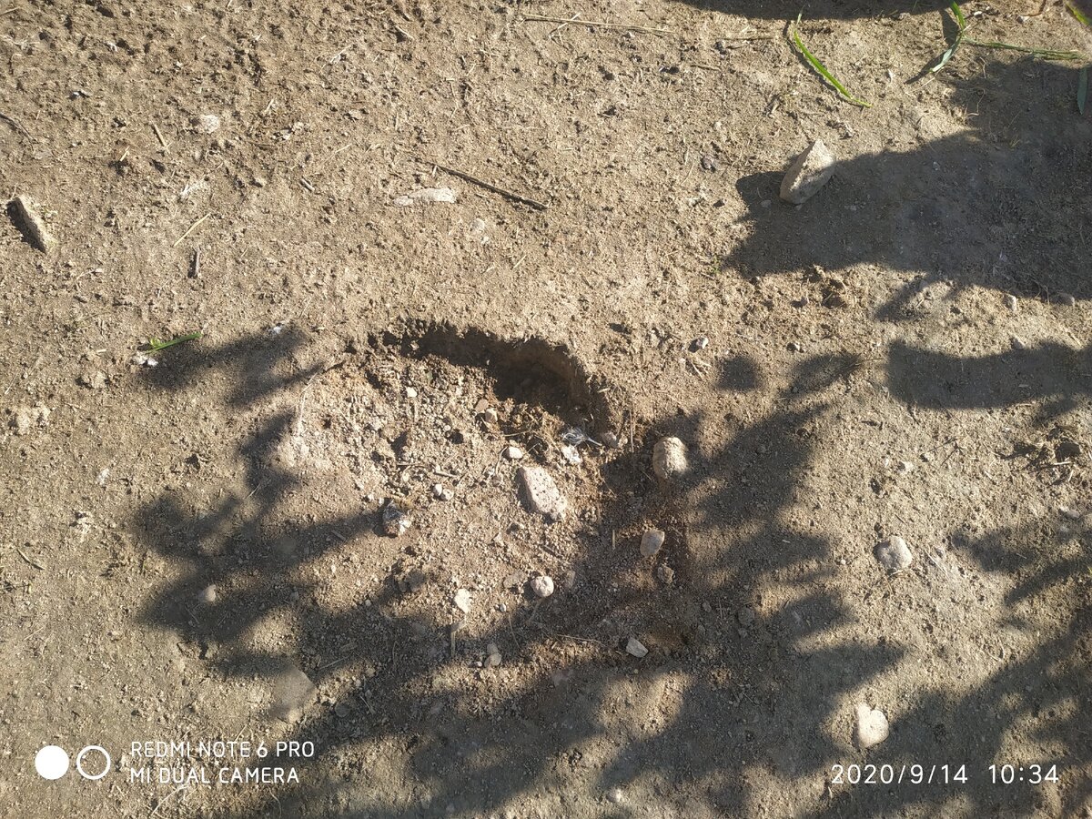 индюшиный карьер