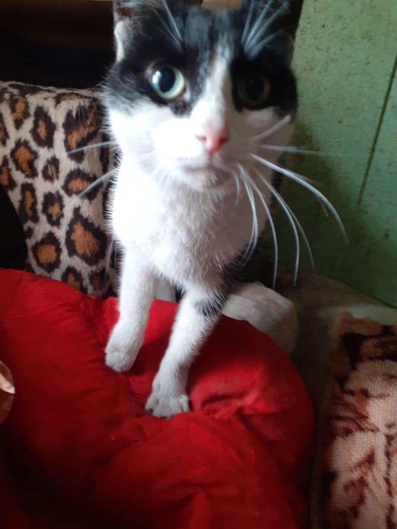 Фотография из личного архива