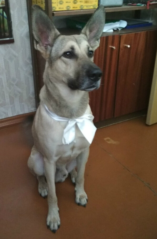 Лаки. День Рождения в марте.