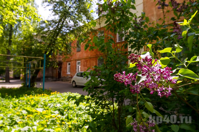 В старенькой двухэтажке, в доме № 89а по улице Никитина живёт сын калужского краеведа Генриетты Морозовой - Александр Кузин.