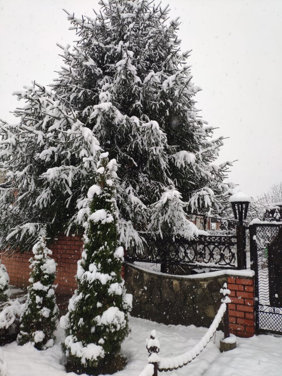 Сказочная атмосфера.