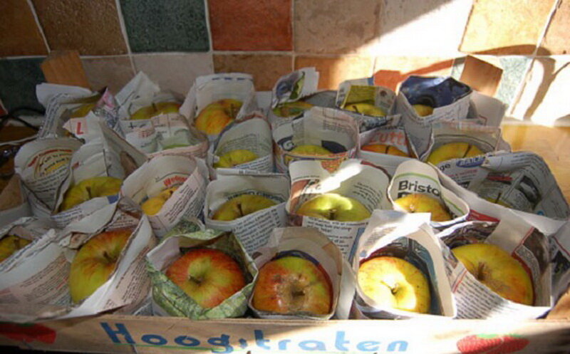 Мелкие фрукты можно заворачивать в газету по несколько штук, а крупные лучше отдельно