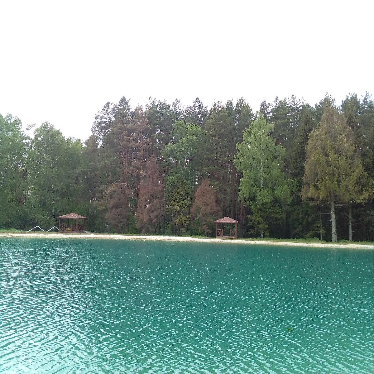 Фото автора.