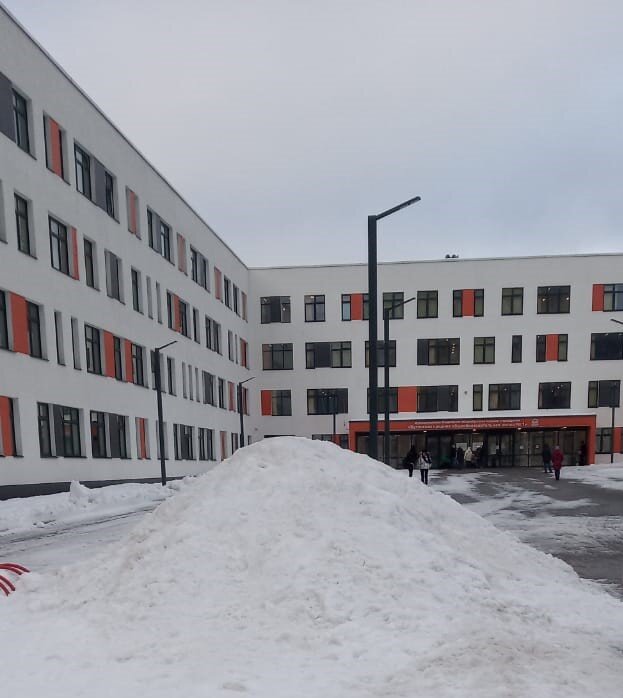 Алисина школа и горка (куча снега просто), на которой дети кувыркаются после уроков.