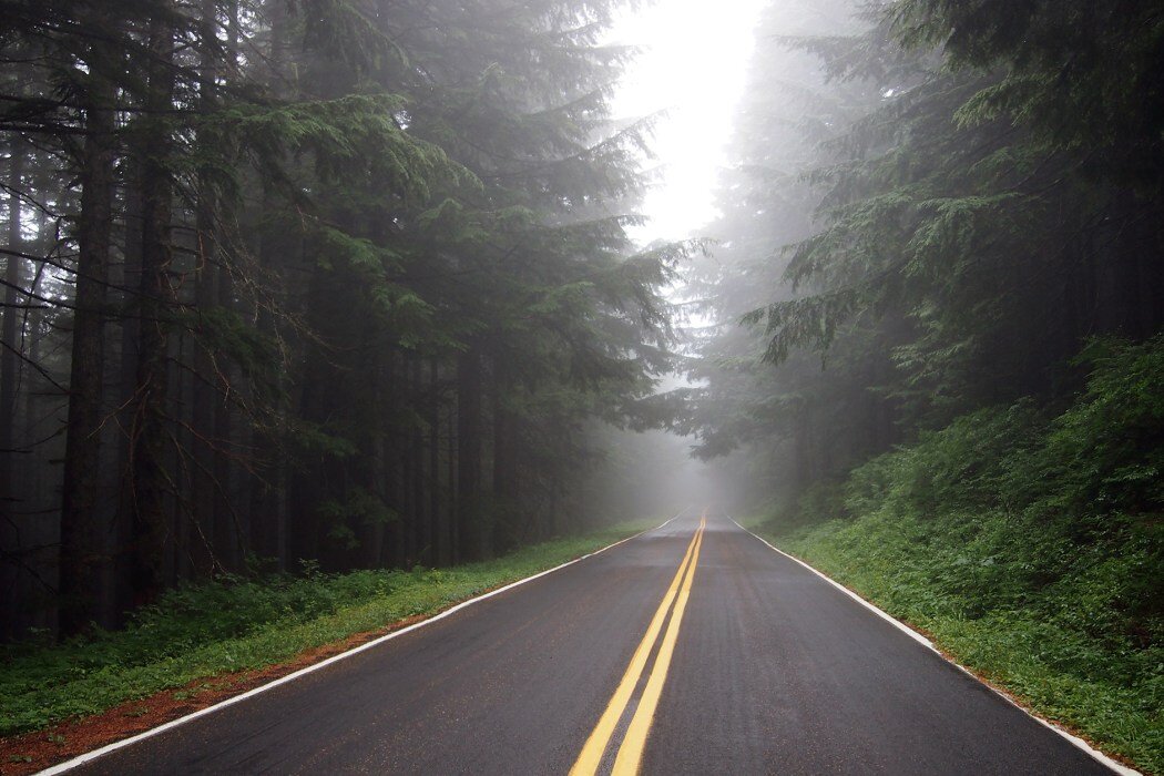 ДорОгой вампирской саги