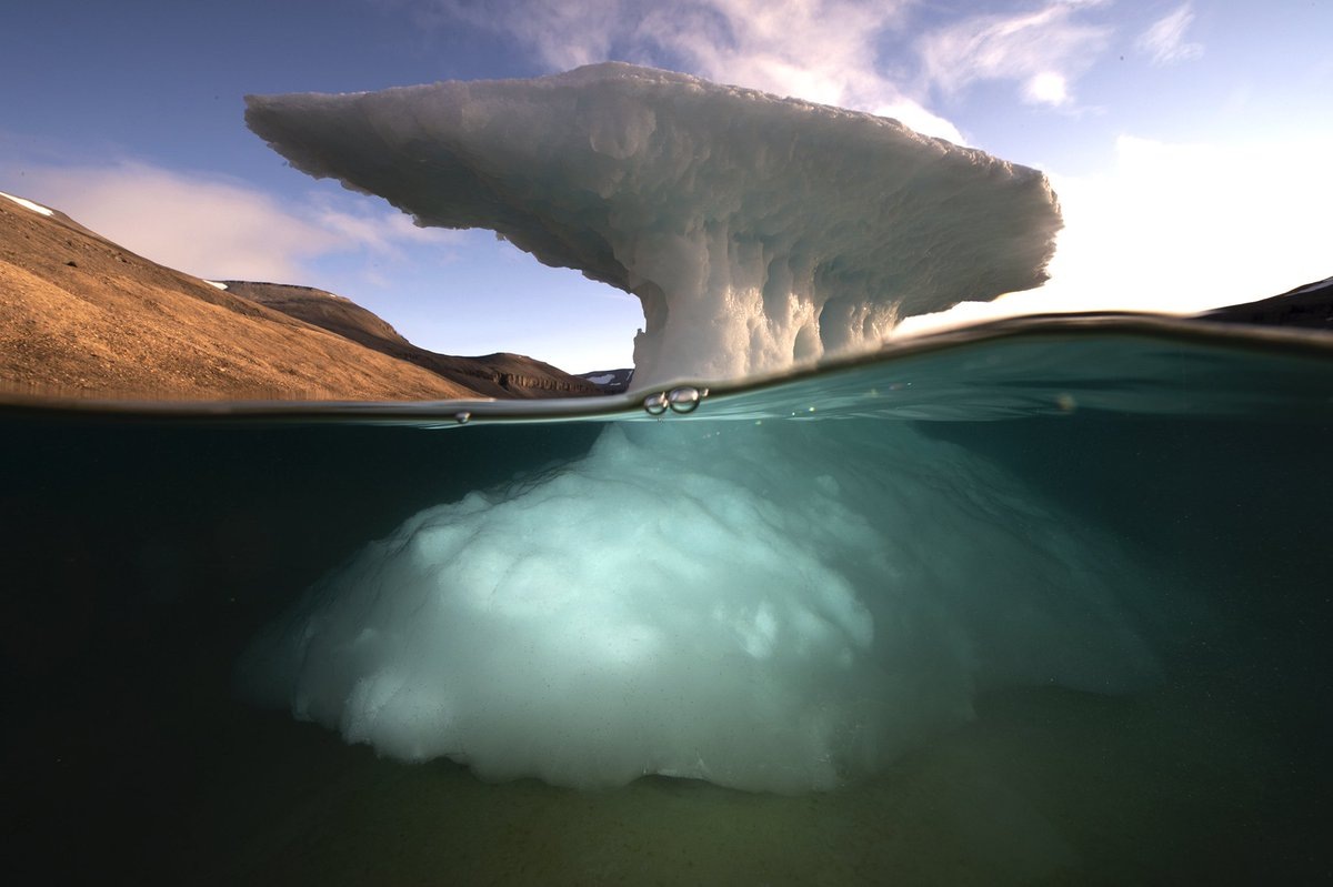 Источник фото: https://pbs.twimg.com/media/D2M2GE7WkAAcChS.jpg