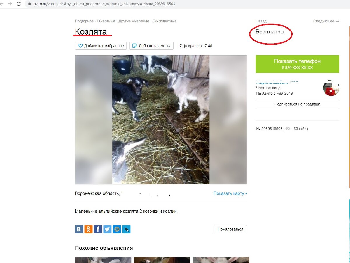 объявление с АВИТО