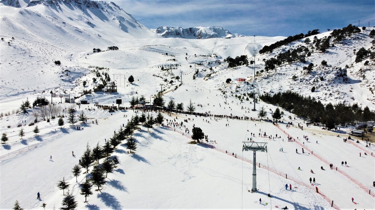 За фото спасибо https://taplink.cc/spirin_vitali