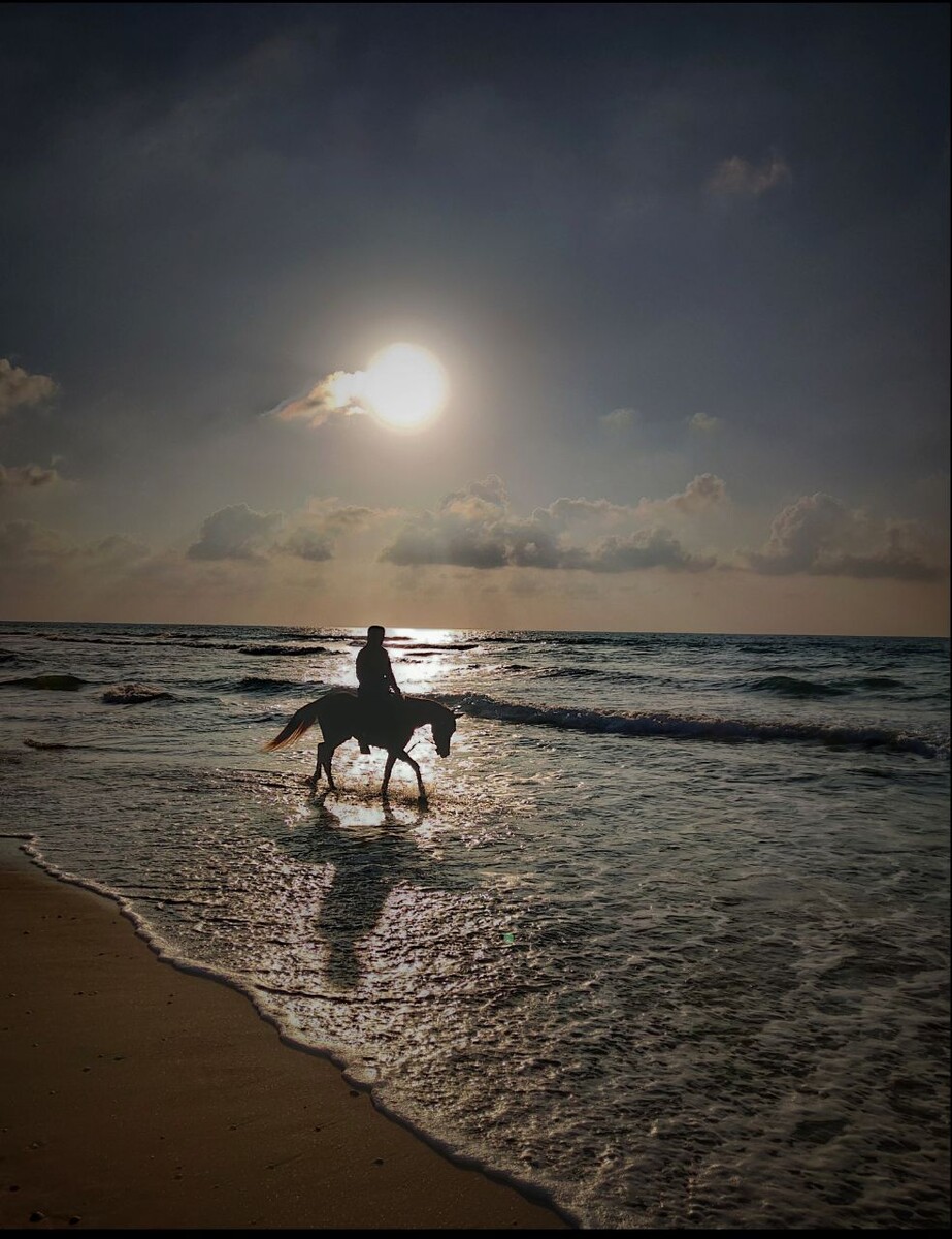 Средиземное море.