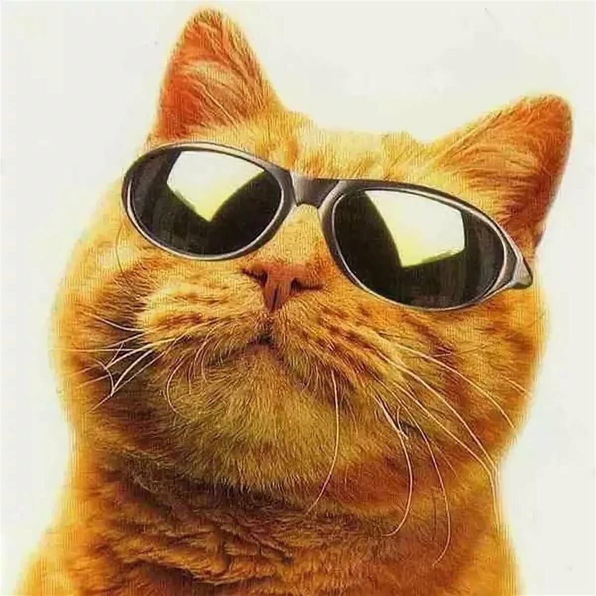 Не так уж и сложно найти но зато мило! 