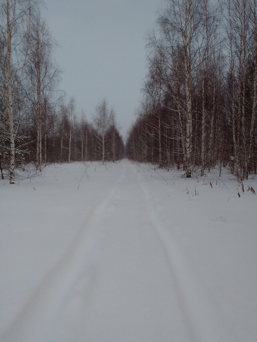 Мертвая пороша. из собственного архива.