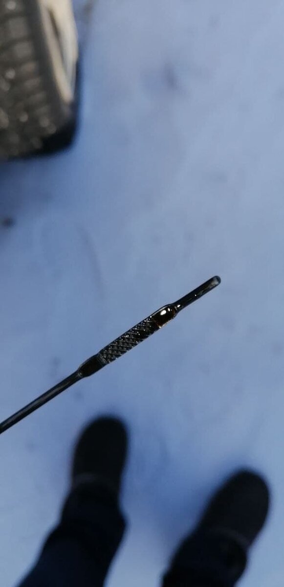 Масло в норме